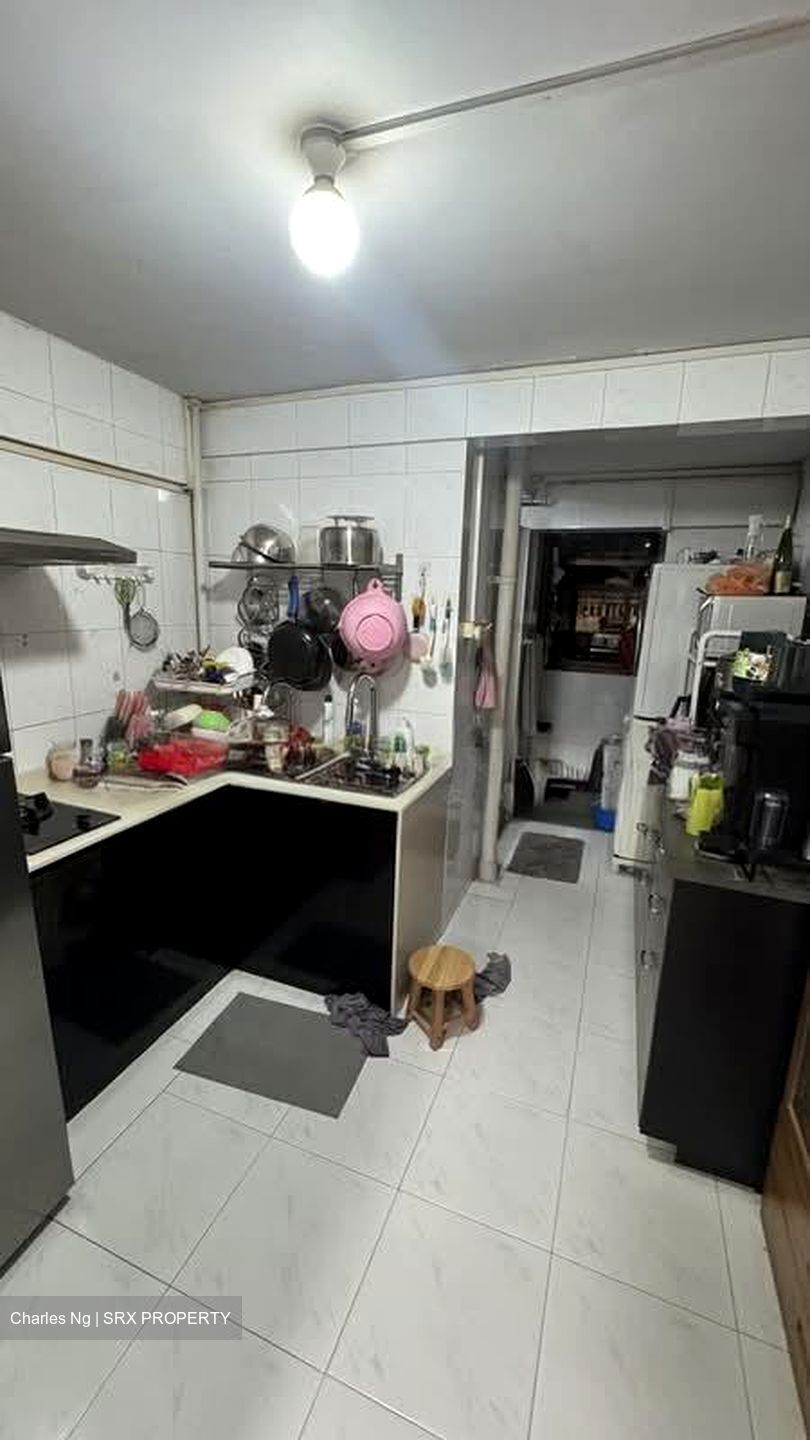 Blk 10 Selegie House (Central Area), HDB 3 Rooms #595068141